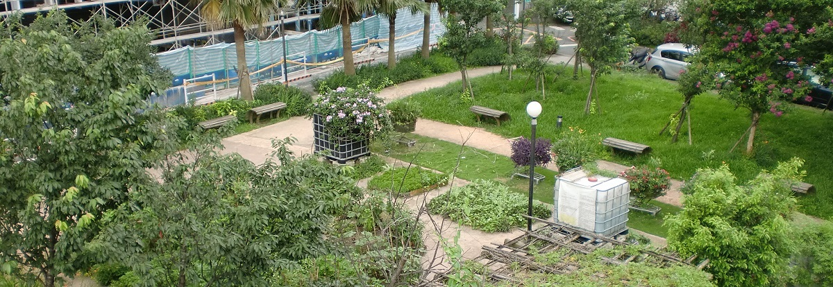 大安區建築空地綠化採可食地景設計