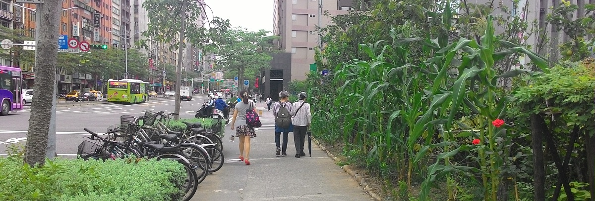 台北市羅斯福路人行道旁的可食地景