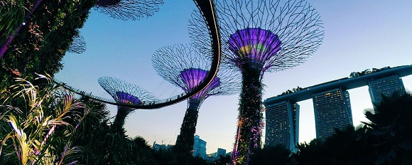 新加坡的數位經濟進行式